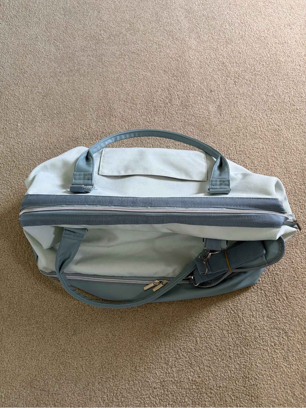 DSW Dufflebag
